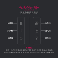 飞科(FLYCO)电吹风 FH6266 六档变速调控负离子护发健康柔风2000W家用吹风机