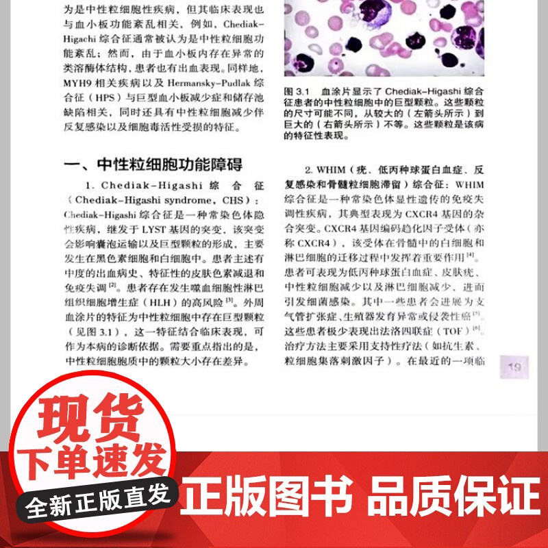 儿科血液病理学图谱 彩图[美]西尔维娅·T.本廷 主编 王艳芬 主译 外周血检查红细胞疾病 辽宁科学技术出版社 9787高清大图