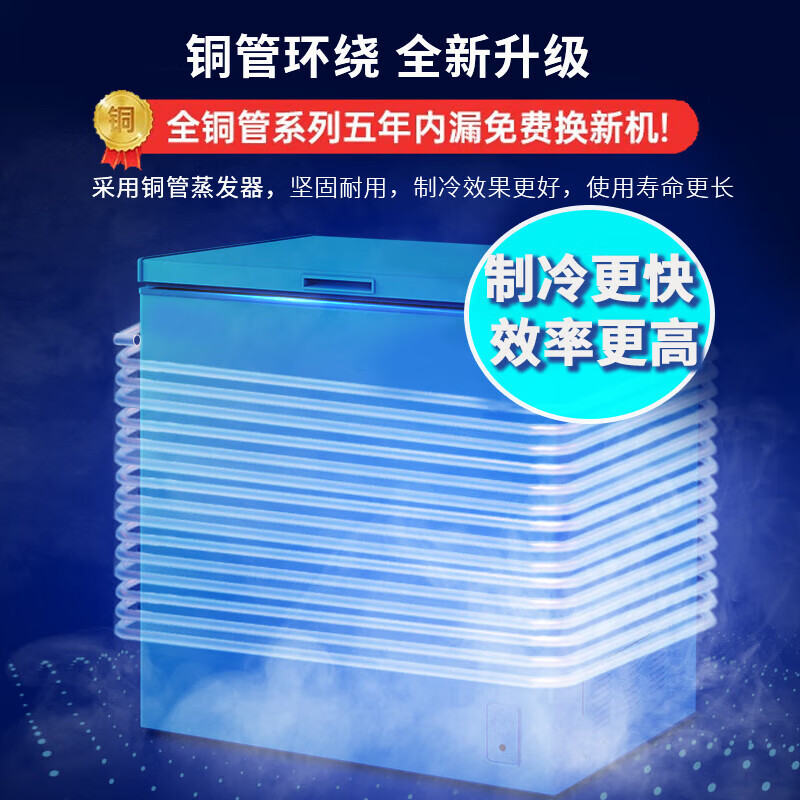 白雪一级能耗家用小冷柜150立升节能顶开式冰柜 冷冻冷藏卧式 茶叶、海鲜、母婴年货 BD/C150DU