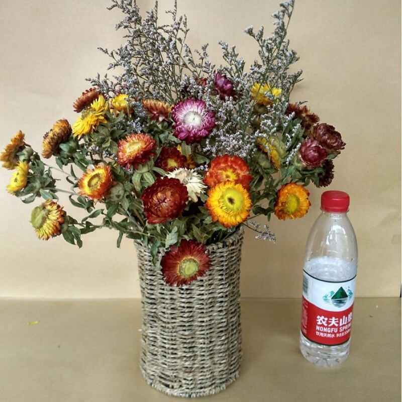 50小雏菊云南天然干花花束家居摆设装饰客厅落地干枝插花饰品(花篮+叶子枝50个花头)干花包