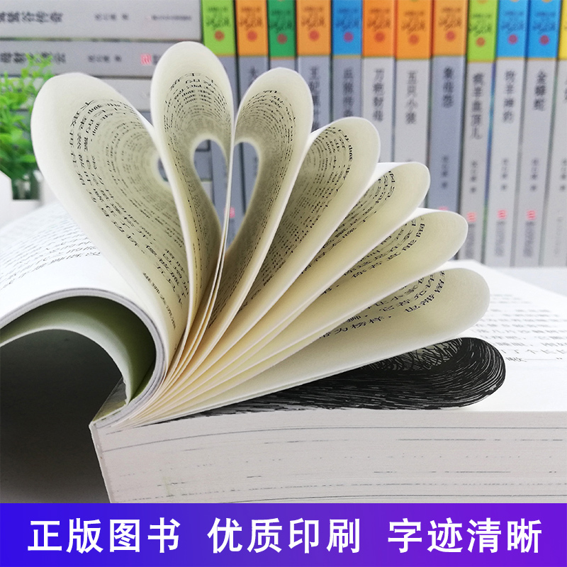[正版]沈石溪动物小说全集作品全套共4册 王妃黑叶猴 红飘带狮王 雄狮去流浪一只猎雕的遭遇动物小说大王沈石溪品藏书系经