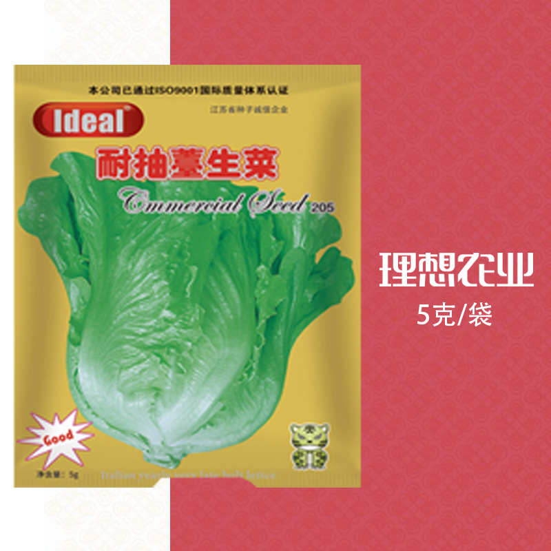 【补贴10%】荠菜种子野生荠菜种子老品种荠荠菜种子耐寒野荠菜种子籽理想农业 下单送正装生菜 均码