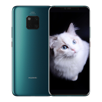 华为（HUAWEI）Mate 20 Pro 8GB+128GB 全网通 (UD) 屏内指纹版（翡冷翠）移动联通电信全网通4G手机 华为手机