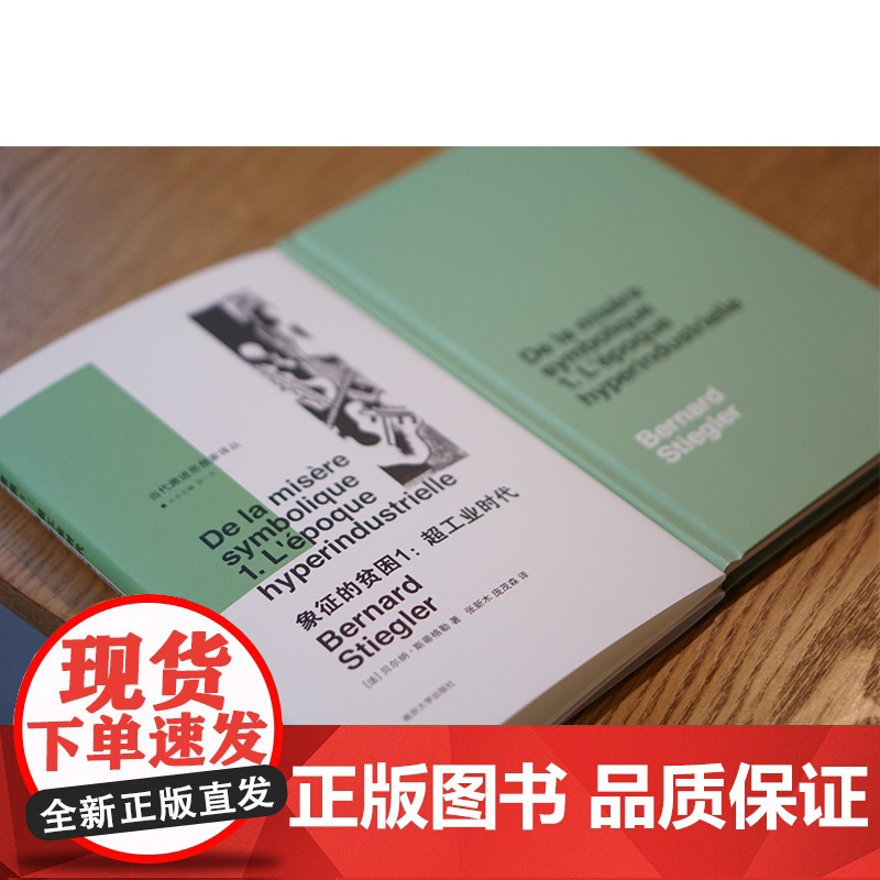 象征的贫困1 超工业时代 当代激进思想家译丛 折射集 [法] 贝尔纳·斯蒂格勒著 超工业时代中政治与美学的关系 南京大学高清大图