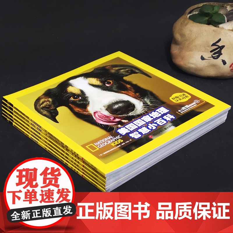 美国国家地理智慧小百科全套6册双语版3-6岁儿童科学漫画书籍小学生版一二年级课外书读天气雨林动物科普百科全书儿童6-12高清大图