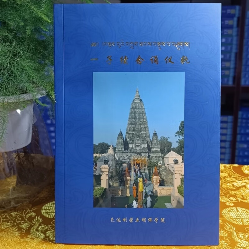 【学院密法正版】一子续 来源清净 正统教材