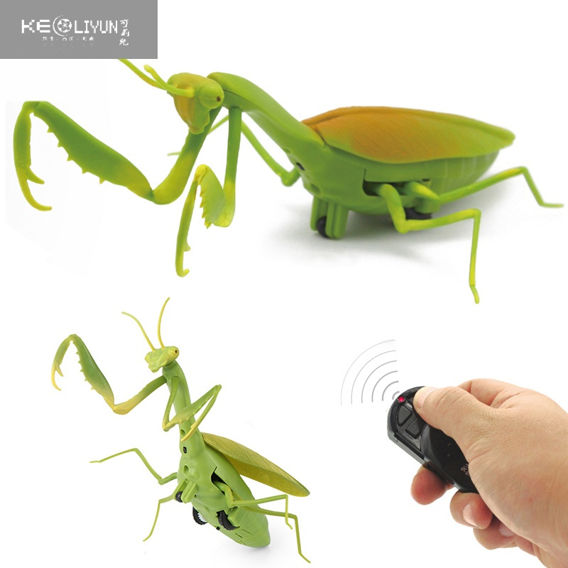 敬平仿真遥控蛇恐龙爬行动物吓人昆虫电动益智3男孩6玩具遥控蟑螂标配