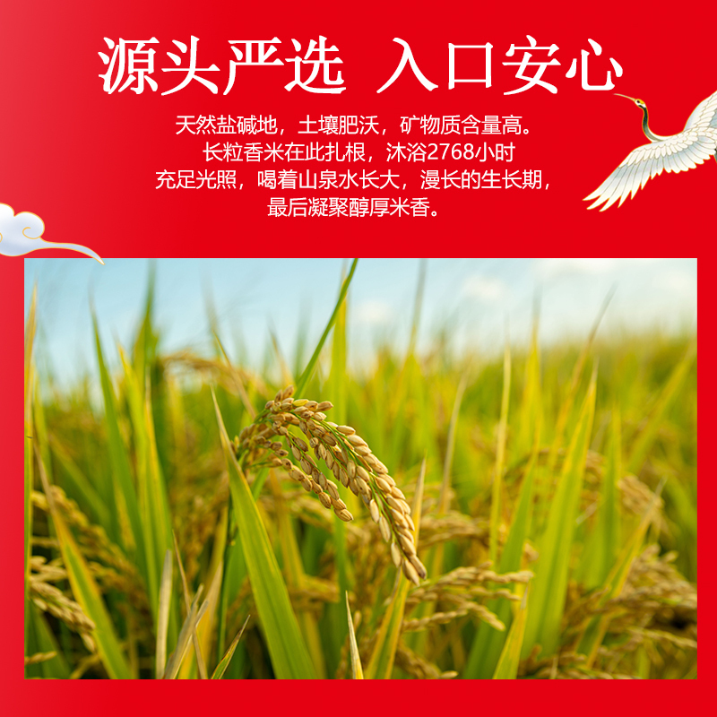 今粮道 帮扶助农5KG原生态农家米JLD020高清大图