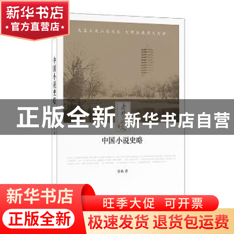 正版 中国小说史略 鲁迅著 时代文艺出版社 9787538757347 书籍高清大图