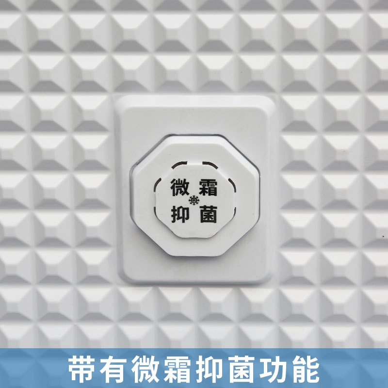 冰熊 90升 冷藏冷冻转换家用商用节能小冰柜迷你卧式一级能耗小型变温冷柜微霜款