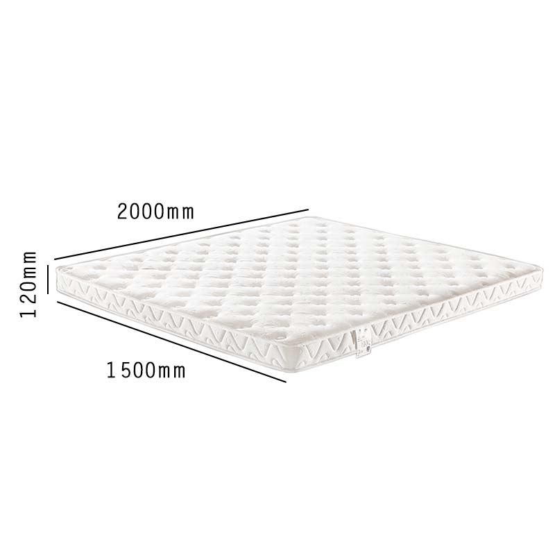 鑫升顺压缩卷包床垫席梦思独立弹簧天然乳胶超软折叠薄款S1厚约12cm/[柔软海绵+独立布袋簧]软硬适中高清大图