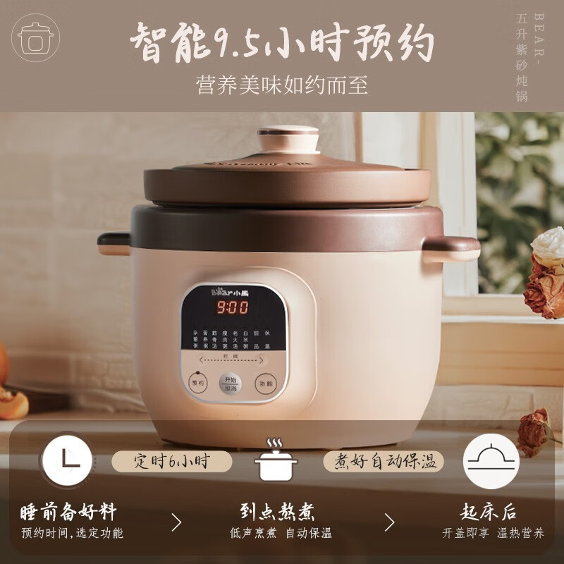 小熊(Bear)紫砂锅电炖锅电砂锅电炖盅5L大容量内胆煲汤 DDG-D50N1