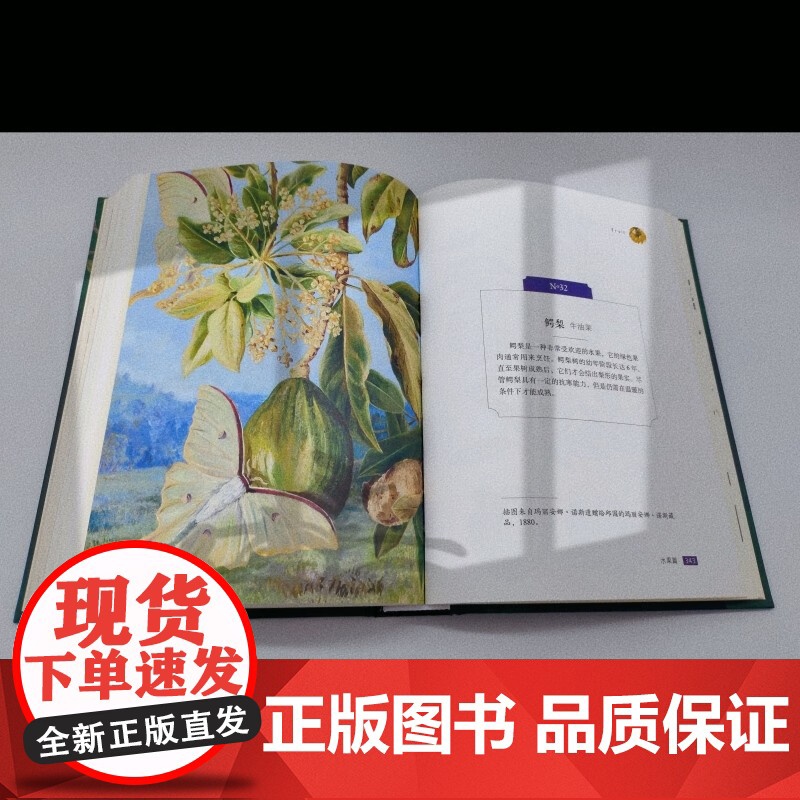 至美邱园 馆藏手绘植物图谱 观赏类 邱园 著 科普读物高清大图