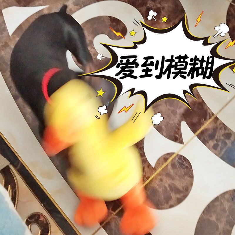 狗狗玩具毛绒发声发泄耐咬小型犬小狗法斗泰迪贵宾宠物陪睡枕头 小鸭子