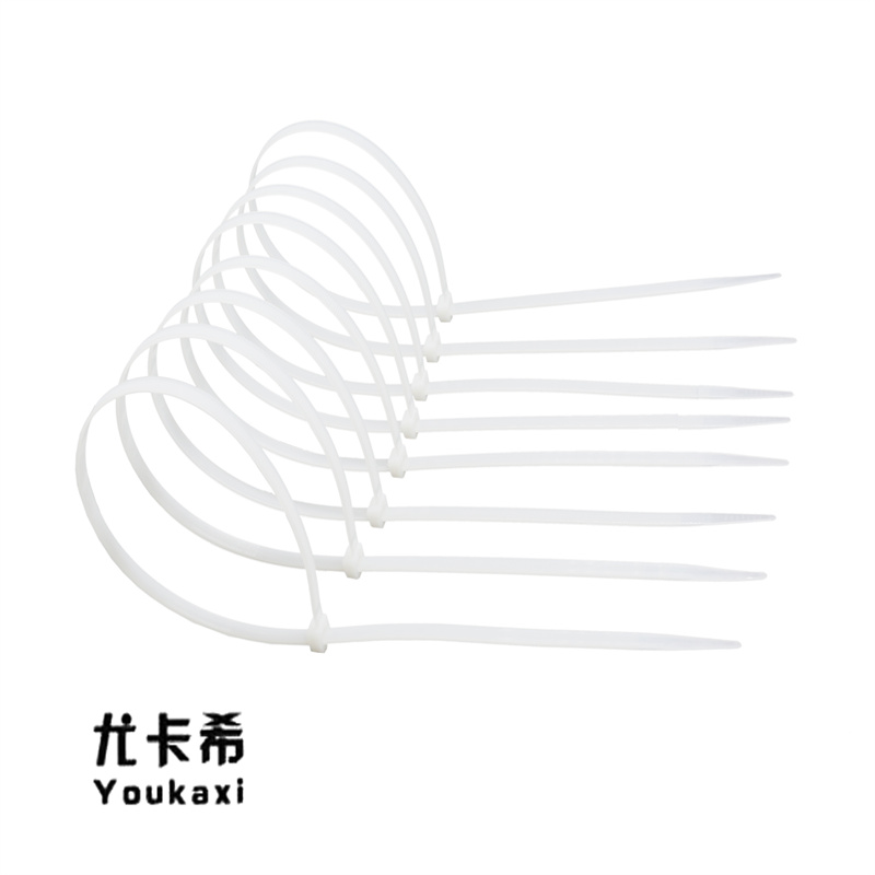 尤卡希(Youkaxi) 尼龙扎带 4*200mm 100条/包高清大图