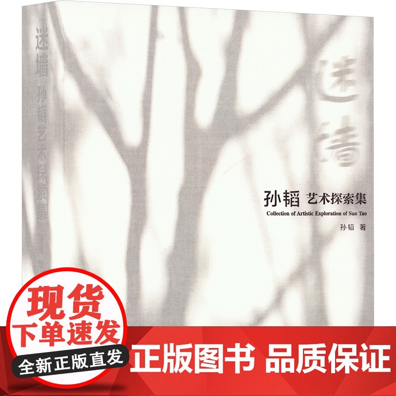 迷墙 孙韬艺术探索集 孙韬 著 江苏美术出版社 美术作品 绘画(新)高清大图