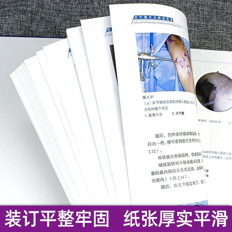 [正版]肌骨关节功能解剖图解 推拿、按摩、扳机点与运动 功能解剖学图谱书籍 筋膜健身书 9787533198251 山高清大图