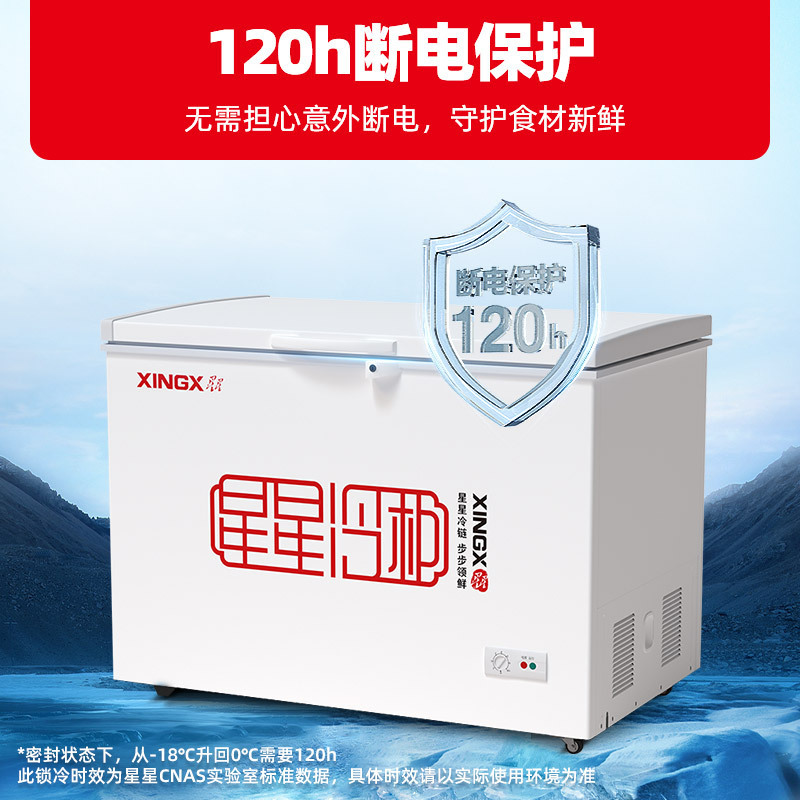 星星(XINGX) BD/BC-305E 305升 家用商用大冰柜 顶开门 冷藏冷冻转换柜 强效压缩机 卧式冷柜