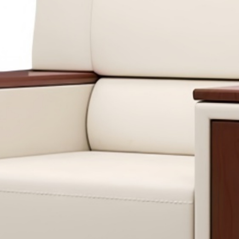 乐琪艺 会议沙发 单人位 张高清大图