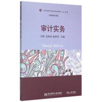 审计实务 王辉 吴海英 陈来芳 著作 大中专 文轩网