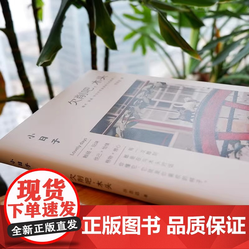 [央视网]小日子 欠削吧 木头 木工雕刻书 手工DIY木工小工具QD木雕木工制作摆件物件 零基础初学者雕刻入门指南小饰品高清大图