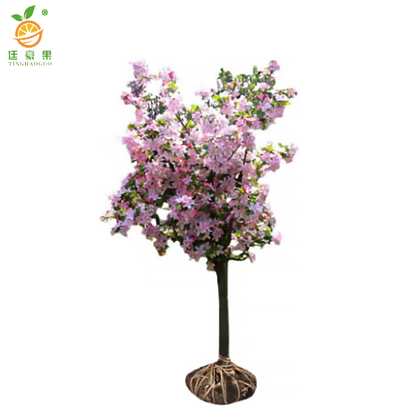 廷豪果 桃花 高1.2-1.8m /棵高清大图