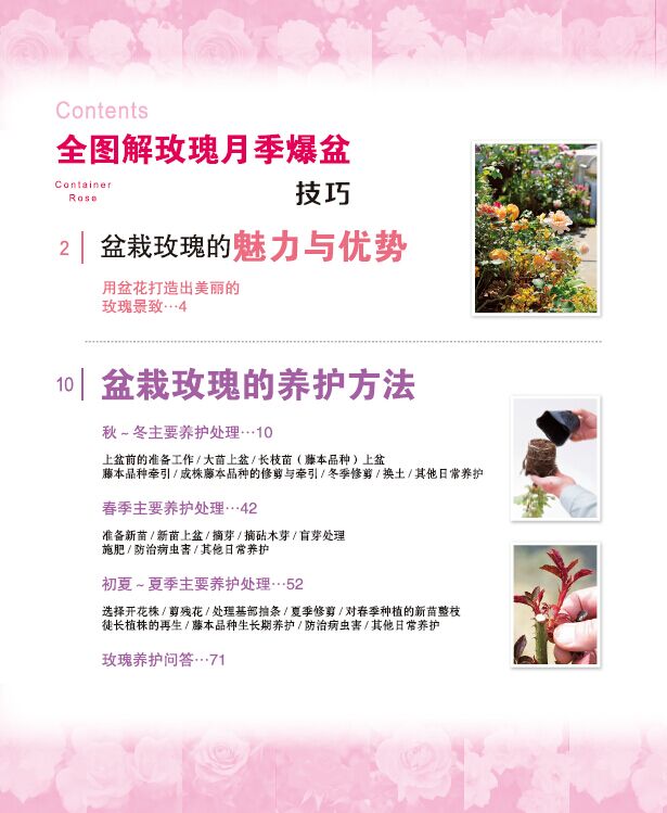 [醉染正版]绿手指园艺丛书 全图解玫瑰月季爆盆技巧 铃木满男 家庭园艺养花技巧 170种人气盆栽玫瑰 玫瑰月季爆盆养护修高清大图
