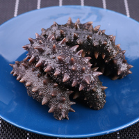 海洋岛 大连野生海参 盐渍辽参 拉缸盐半干海刺参礼盒21-25头500g