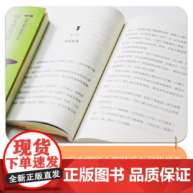 方刚儿童心理成长小说系列:女孩和流浪猫(要善良,更要有应对霸凌的力量! 帮孩子获得强大的内在力量。)高清大图