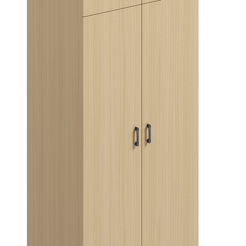 臻远ZY-GYJJ34 公寓套房家具 宿舍更衣柜双门衣柜衣物收纳柜含顶柜高清大图