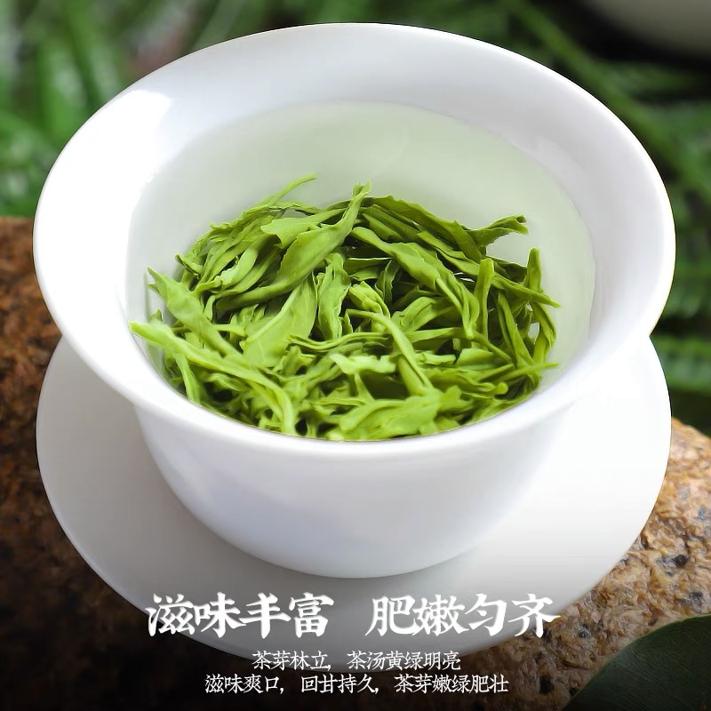 2026新茶叶春茶云雾绿茶毛尖茶日照充足高山碧螺春浓香散装共750g高清大图