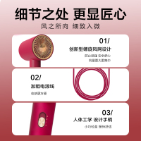 海尔吹风机家用负离子恒温速干护发电吹风大功率风筒C31