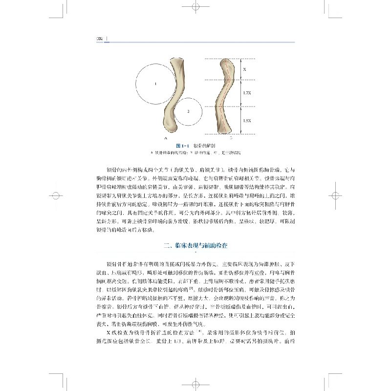正版新书]创伤骨科进阶教程组编:上海市医师协会骨科医师分会创高清大图