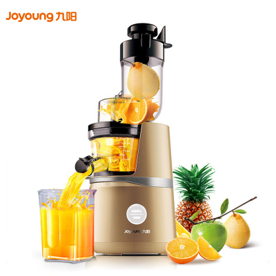 九阳(Joyoung) 原汁机JYZ-V920 大口径水果整个榨 立式螺旋挤压 可做冰淇淋 果汁机 榨汁机 原汁机