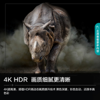 海信(Hisense)HZ55E3D-PRO 55英寸 4K超高清 HDR 无边全面屏 AI声控 人工智能平板电视机