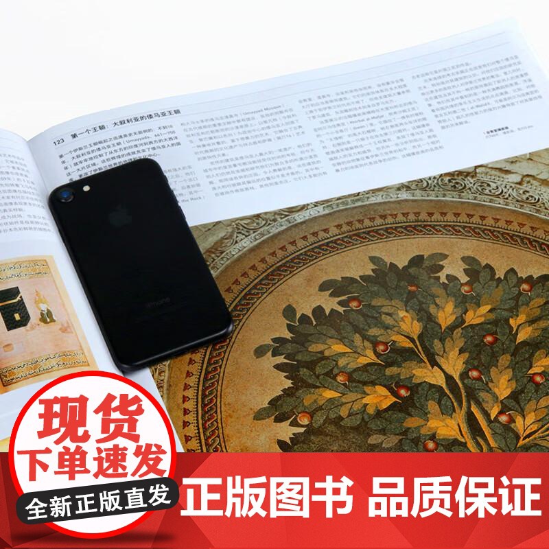 艺术博物馆 彩色插图精装4开英国费顿出版社雅昌彩印家庭藏书儿童美术启蒙绘画鉴赏书高清大图