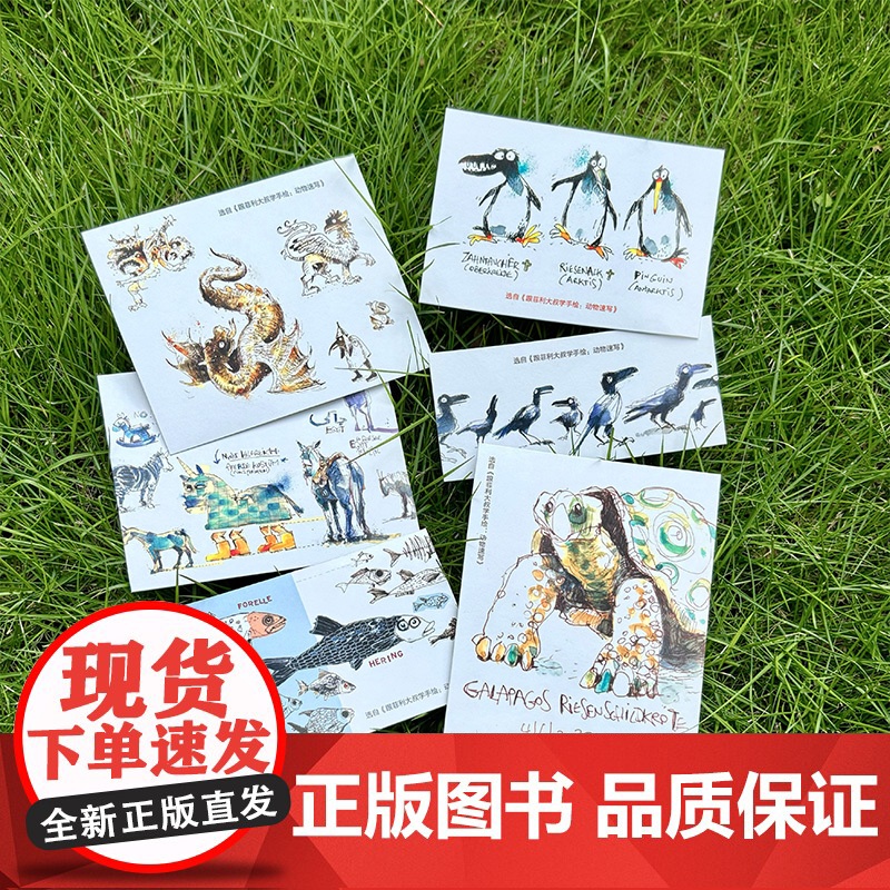 跟菲利大叔学手绘:动物速写 专注分享动物速写创作技巧艺术理念动物速写插画灵感来源 插画自学教学高清大图