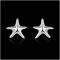 E033Women silver plated earring 镀925纯银海星耳钉时尚耳环女