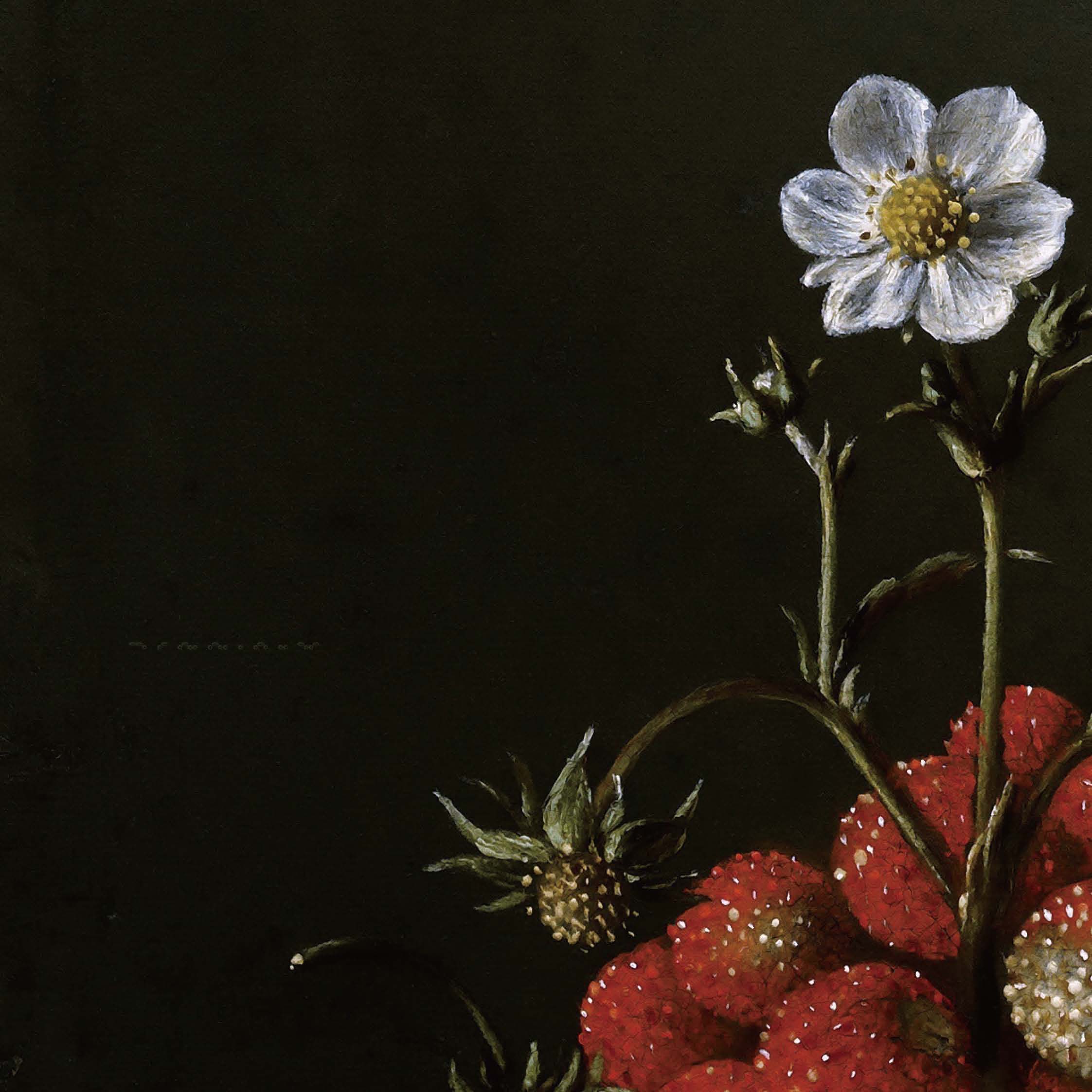 [正版]致敬大师系列 色彩静物 埃弗特·科利尔 亚伯拉罕·范·贝耶伦 弗兰斯·斯奈德斯 300幅经典色彩静物作品 西方高高清大图