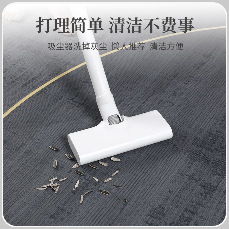 客厅地毯2024新款茶几毯现代轻奢床边毯子卧室大面积家用整铺地垫