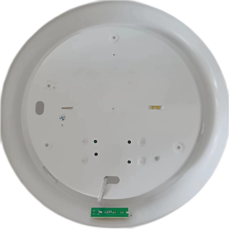 洛安斯 LED应急吸顶灯 12W 个高清大图