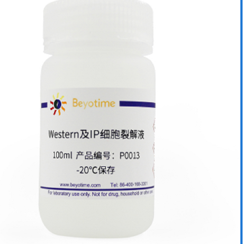 Beyotime/碧云天 Western及IP细胞裂解液 P0013-100ml 1瓶高清大图