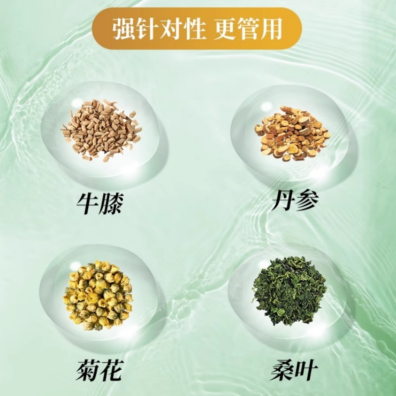 北京同仁堂丹参菊花茶辅助j血压茶适宜血压偏高人群服用中老年人官方正品旗舰店