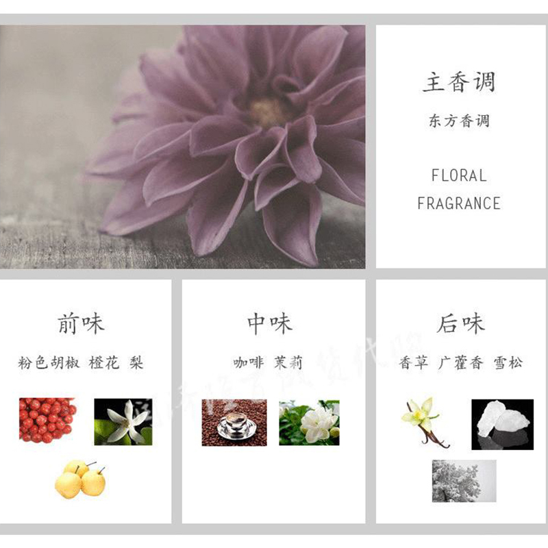 YSL 圣罗兰 黑色奥飘茗黑鸦经典版女士浓香水90ml EDP 淡香精 咖啡花香 斩男香
