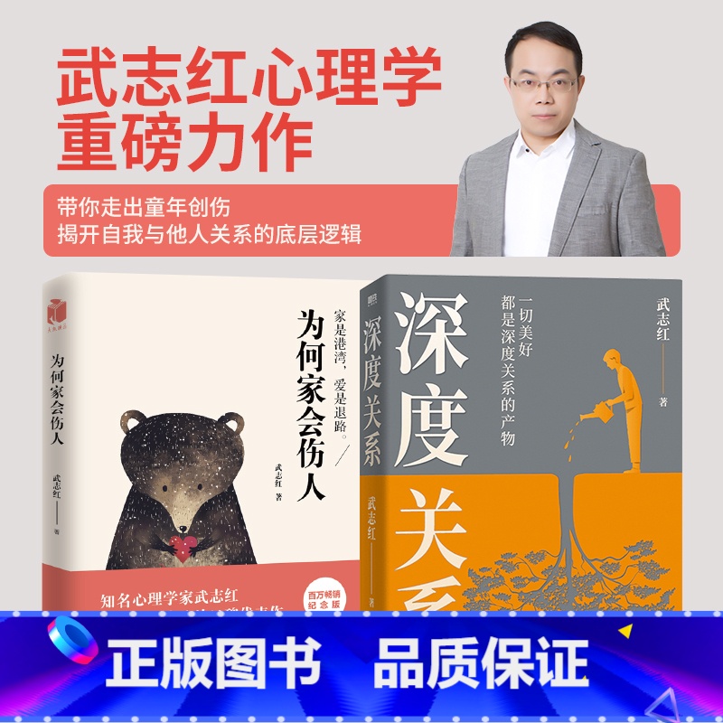 【正版】全2册深度关系+为何家会伤人 武志红心理学社会心理学励志成长书和另一个自己谈谈心 图书 书籍