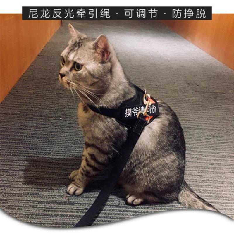 红色 L适合19斤内 猫咪牵引绳防挣脱猫绳专用背心式溜猫绳栓猫背带遛猫绳神器猫链子