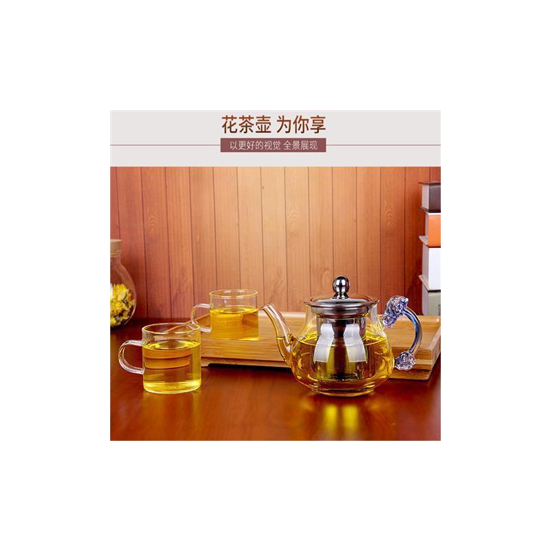 加厚耐热耐高温明火玻璃茶壶电陶炉不锈钢煮茶壶花茶壶