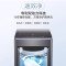 海尔(Haier)全自动波轮洗衣机10公斤大容量家用双动力防缠绕 MS100-BZ278