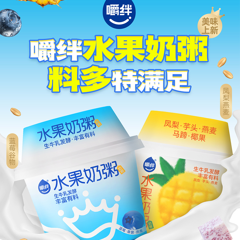 嚼绊水果奶粥蓝莓和凤梨口味210g*2杯组合装 生牛乳发酵 营养美味