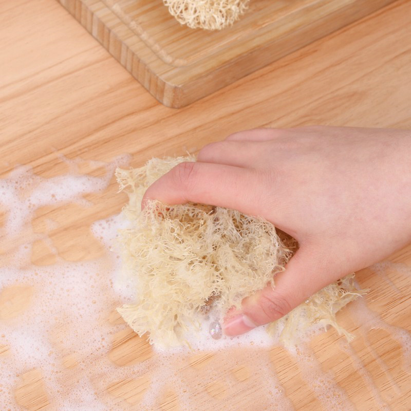 单个装丝瓜络洗碗布厨房丝瓜刷天然洗碗干丝瓜瓢水丝瓜藤刷锅刷碗丝瓜